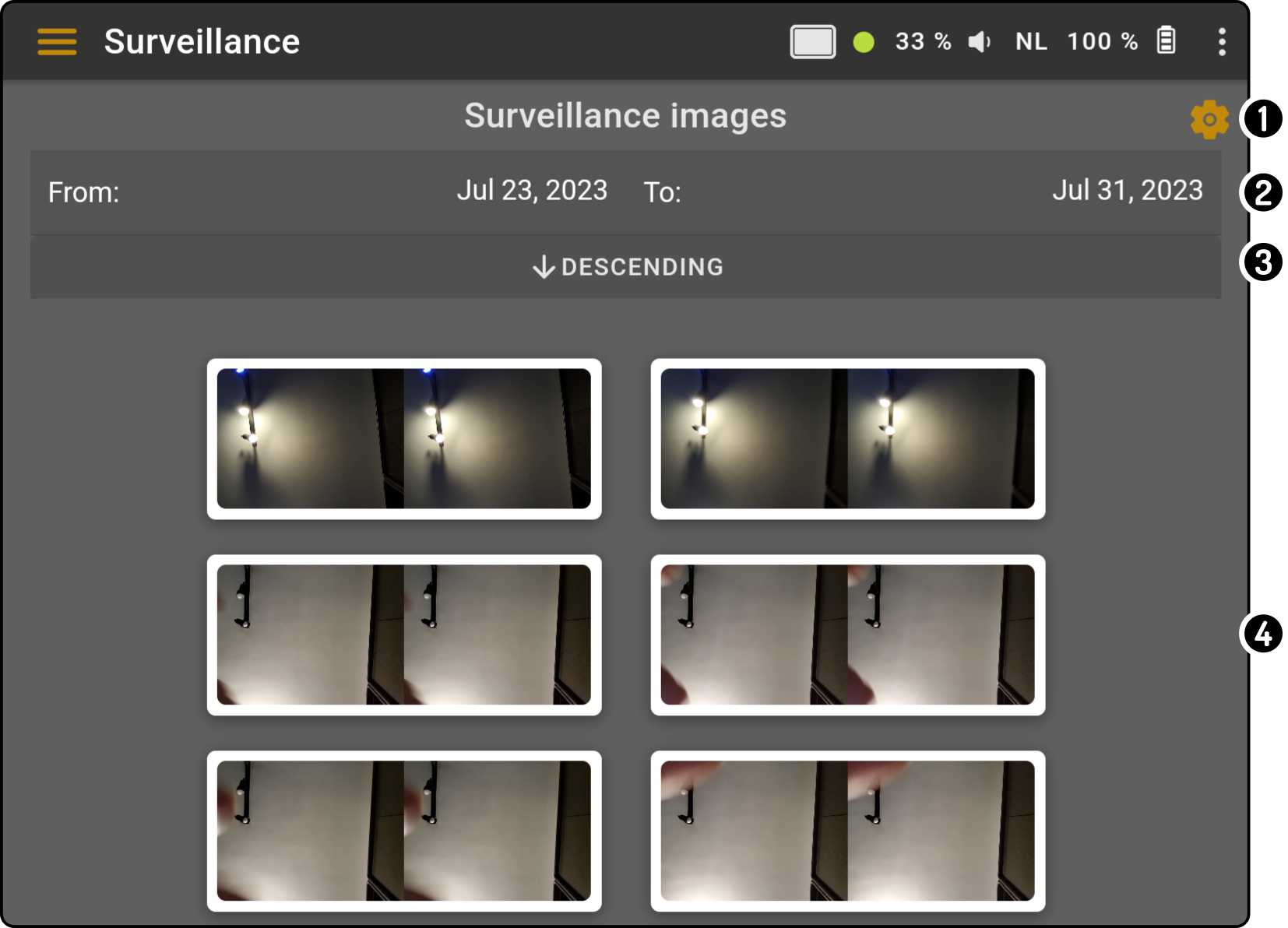 surveillance overview