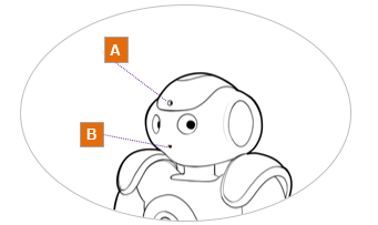 nao cameras